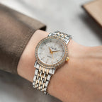 Vermontane Venoria